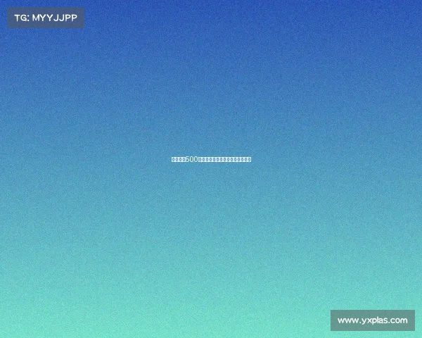 曼城赛事500周年辉煌盛典回顾历史展望新征程